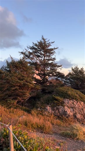 273 reactions · 4 comments | Amphitrite Lighthouse for sunset tonight. Photos to follow! #Ucluelet #Tofino #VancouverIsland | UkeeTube | Facebook
