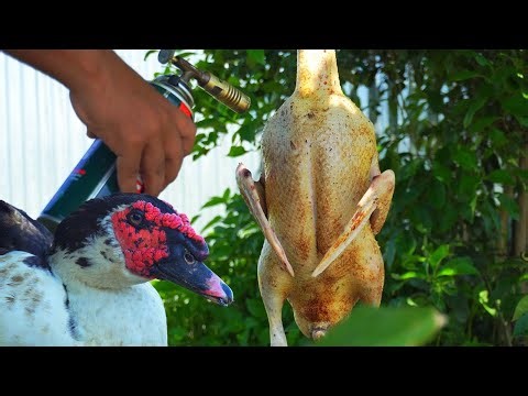 Manipuri Village Style Duck Curry Recipe | Nganu Thongba | Countryside Cooking
