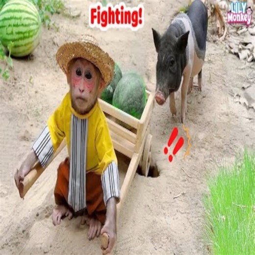 Lily got in trouble with the watermelon cart, but Sam saved the day! Lily's story | Slingshot ride