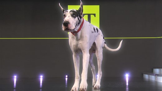 ‘The Friend’s Bing the Great Dane stops by ET. ‘The Friend’ is in theaters April 4. | Entertainment Tonight