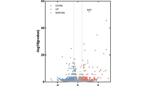 GraphPad绘制火山图✨视频版