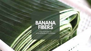 Banana Fibers - The Future Of Sustainable Clothing - TextileTuts