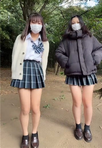 Exploring Japanese High School Life and Culture