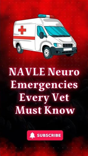🚨 NAVLE Neuro Emergencies Every Vet Must Know 🚨