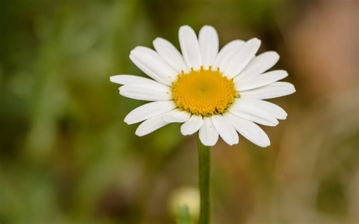 Boss直聘用到的一些功能设置