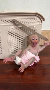 1.6K views · 21 reactions | #pet #reelschallenge #monkey #love #Amazing #funny #highlights | Newborn Monkey Tzy1 | Facebook