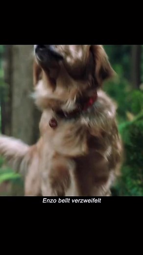 Der Film heißt Enzo #deutschland #Netflix #film #movie | Movie scenes