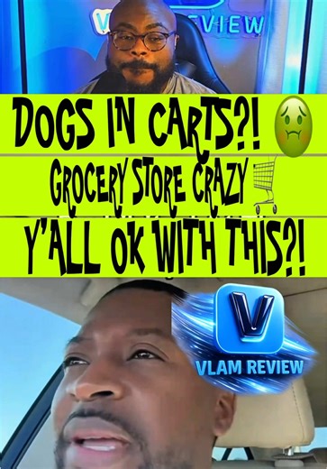 People really bringing their dogs into grocery stores and putting them in the same carts where food goes 🛒🐶😳 I get loving your pet, but this turning into a real grocery store hygiene debate because not everybody is cool with that 🤢 some folks think it’s harmless and others think it’s straight up disrespectful… where do YOU stand on this?? #VLAMReview #PetDebate #GroceryStore #HygieneMatters #PublicEtiquette ✊🏾 @readtheroom
