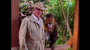 Mr. Magoo - Official Trailer