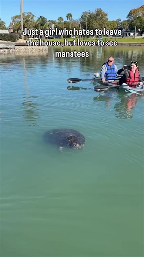 Experience Tarpon Springs on a Guided Clear Kayak Tour