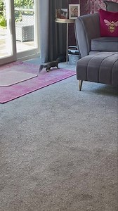 25K views · 3.6K reactions | I love it that the wildlife know my voice and when I speak it reassures them that everything is ok ️❤️ | Mr Lumpy & Friends. | Facebook