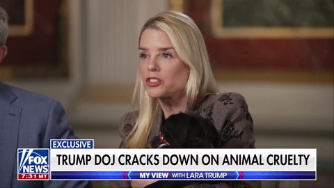 Trump Cabinet teams up to end animal abuse