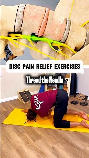 4 Simple Exercises for Disc Pain Relief | Improve Back Mobility Fast #sciaticarelief #backpainrelief