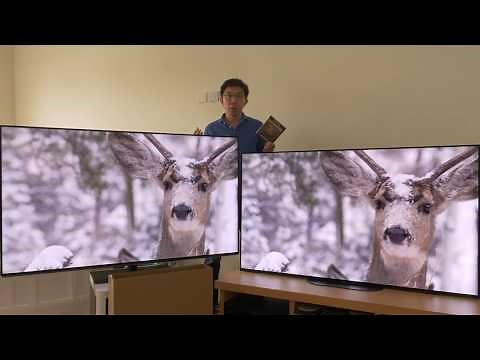 Panasonic GZ950 vs Sony AG9 (A9G) OLED TV Comparison
