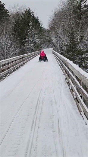2001 ZRT 600 BRIDGE CROSSING IN UPPER PENINSULA MI!!!