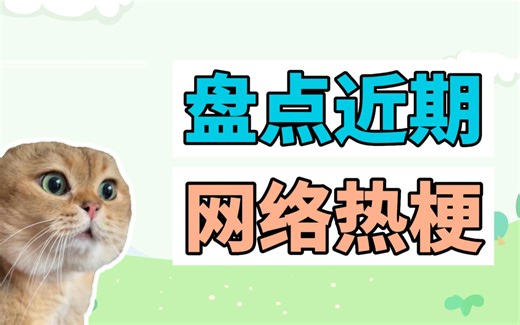 盘点近期网络热梗；对话小猫、宣