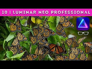 Luminar Neo Tutorial | Deep Dive into the Professional editing tools!