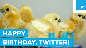 32K views · 111 reactions | Happy birthday, Twitter! | Click.Click.Click by Mashable | Facebook