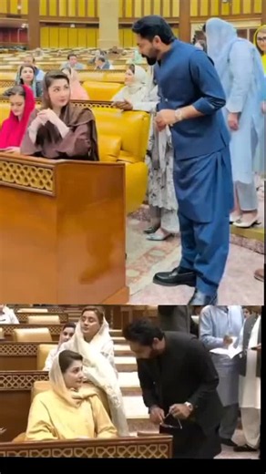 Maryam Nawaz tells party: 'Consider the work and leave Momina alone'