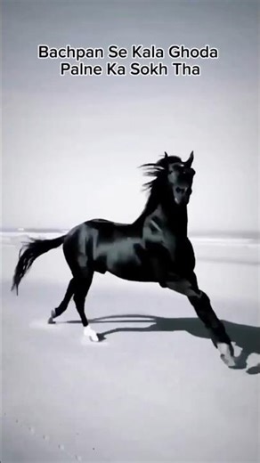 Horse 🐎 vs Yamaha R15 V3 👑 | Real Speed Battle ⚡ Who Wins?