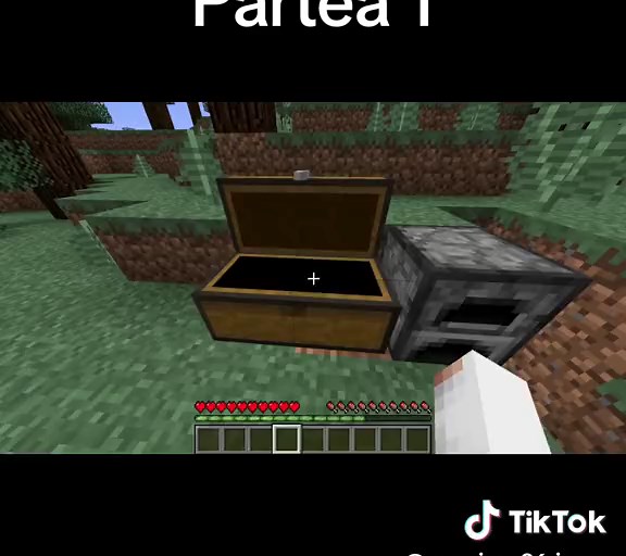 Mai stie cineva videoclipul asta? Partea 1 ❤️ #minecraft #gaming #fyp #gannicus96