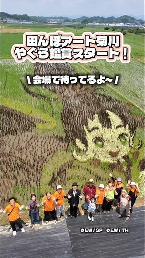 【 田んぼアート菊川やぐら鑑賞】色の異なる古代米で巨大な絵を描く田んぼアート。約７mのやぐらから鑑賞できます。今年はアプリゲーム 天穂のサクナヒメ～ヒヌカ巡霊譚～とコラボ！ぜひご覧ください🍏 #菊川市