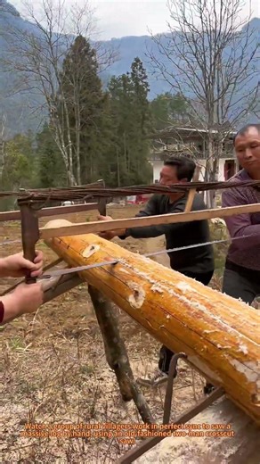 Traditional Hand Sawing: Villagers Saw a Log Together by Hand