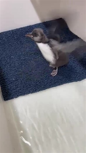 4.6K views · 189 reactions | As promised, here’s an important...