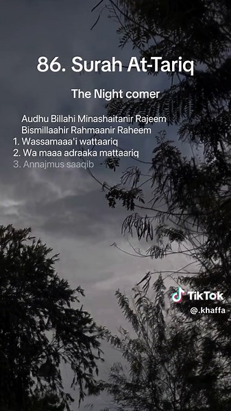 Surah 86. At-Tariq The Nightcomer #quran #surah #quranrecitation
