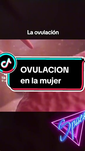 Entendiendo la Ovulación en Mujeres y Remedios Caseros