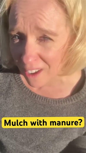 Mulching raspberries -advice from @myrustygarden #allotmentgardeninguk #mulching #raspberry