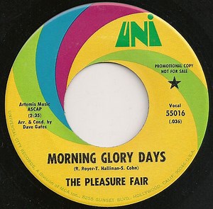 The Pleasure Fair - Morning Glory Days