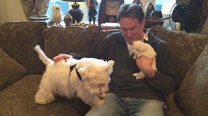 This was the day Piper met her brother for the very first time. The rest is history ❤️ | The Piper Chronicles