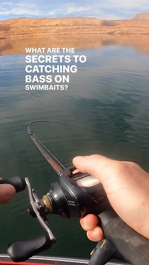 36K views · 381 reactions | Want to 10x your bass fishing catches on swimbaits? Make sure you do these three things. It will help you catch a lot more bass when fishing swimbaits. #swimbaits #bassfishing #bassfishingtips #largemouthbass #swimbait #fishing #outdoors #bigbass #finesse #bigbaits #krakenbass | Kraken Bass | Facebook