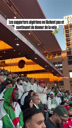 #supporter #algerie #nigeria