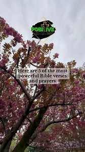 🤍5 of the most powerful Bible verses and prayers to cancel delay and stagnation🤍⚜️#Dailylife #Inspirational #pray #peace #deliverance #love #jesuslovesyou #christiantiktok #scripture #putgodfirst #bibleverse #healing #grace #fyp #foryoupage #worship #forgiveness #motivation #inspiration #praise | Positive Confessionz