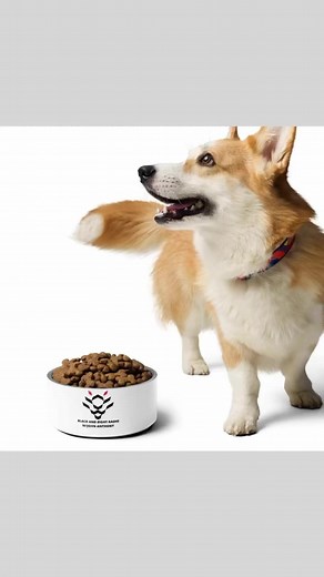 1K views | Elevate your talk radio experience with Black And Right...