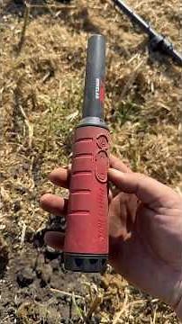 Помічник допомагає😎 Приємна знахідка!) Minelab Pro Find 40