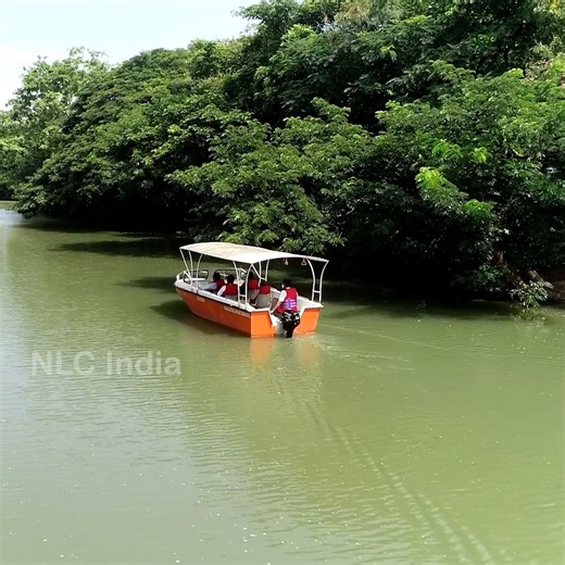 A Glimpse of Green at NLC India Limited From saplings to thriving trees, NLC India Limited is planting and nurturing greenery around its project areas. Every tree supports biodiversity and a cleaner environment. #NLCIndiaLimited #Afforestation #GreenIndia #CSR #Sustainability #Biodiversity Ministry of Coal,Government of India Kishan Reddy Gangapuram Satish Chandra Dubey | NLC INDIA Limited