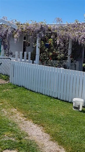 Spring is here | Kevan Percival Kendrick