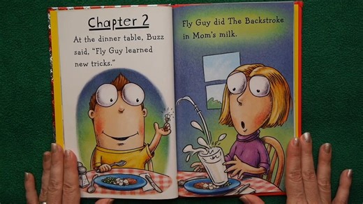 Fly Guy #14- Fly Guy's Amazing Tricks READ ALOUD