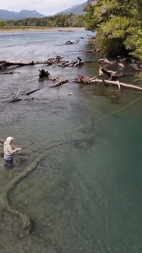 359K views · 3.2K reactions | Perfect setting, perfect cast, better eat -- Patagonia's fishing season is kicking off soon! #flyfishing #fishing #travel #patagonia | Yellow Dog Flyfishing | Facebook