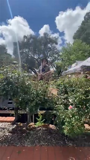 LeFrench Taunter on Reels