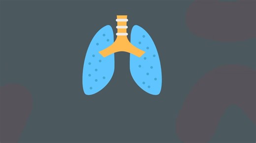 1K views · 14 reactions | Have you ever seen waste being openly burnt...