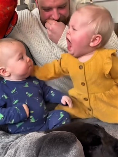 Hilarious Toddler Fighting Moments Compilation
