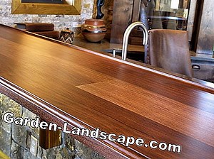 Care of the garden: Walnut Tree Trim - Walnut Care Cut | 2025