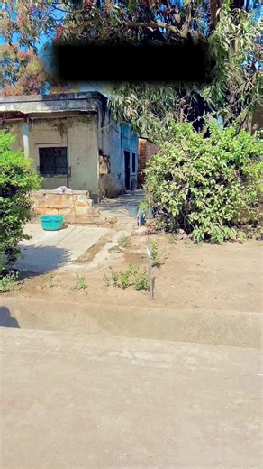 The zongo of rema le danseur on TikTok