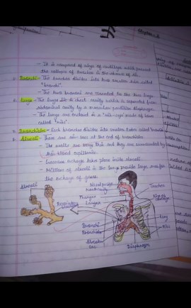 Education | Sakshi Singh | Motivation on Instagram: "Class 10th (Biology) - Chapter - 1 (Life Processes) full chapter notes with diagrams Biology ke bhi notes ho Gaye ... 🎶 #studynotes #10thgradeready📚"