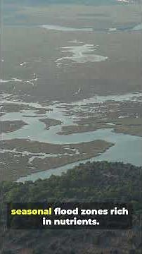 Rivers journey through many habitats