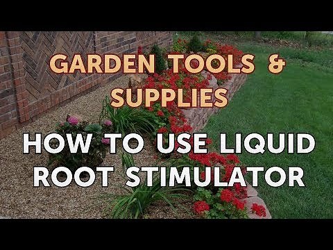 How to Use Liquid Root Stimulator